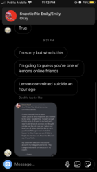 Last image.png