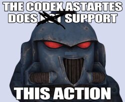 codexapproved.jpg