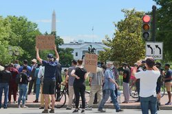 IMG_0201.jpg