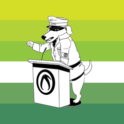 noolkiwigay.png