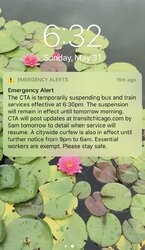 C3564A30-E31F-4429-8575-101C07F7BB18.jpeg