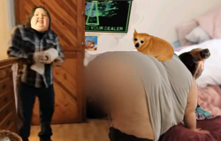Screenshot_61ggg.png