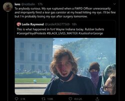 Capture2020riot2.JPG