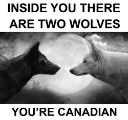 two wolves canadian.png