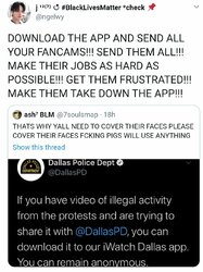 Lunacy in motion.jpg