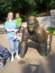 mulatto gorilla dad.jpg