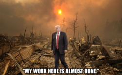 1591065817826.png