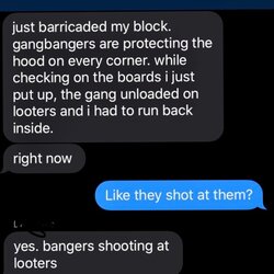 pilsen looters.jpg