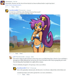 Shantae comments.jpg