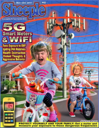 1591220771300.png