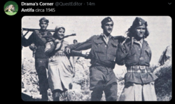 brave_qj0v16ymfK.png