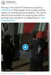 graffiti policing.png
