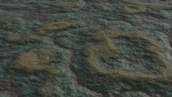 mossyground.png
