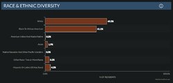 suffolk virginia demograph.jpg