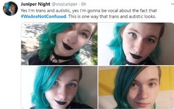 junipernight.jpg