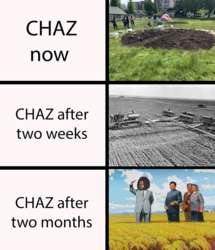 1591901222569.png