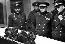 komarov after the fall.jpg