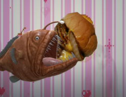Untitled.png