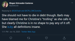 Screenshot_2020-06-18 Megan Schroeder-Canteros on Twitter SilkTrash CPU_CWCSonichu She should ...png