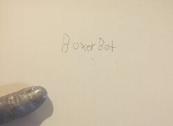 boxerbot.JPG