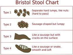 #PissmasterAv_BristolStoolChart.jpg