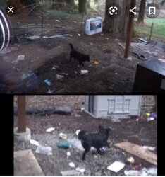 Screenshot_20200621-082906.jpg