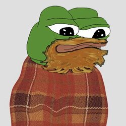 cozy.jpg