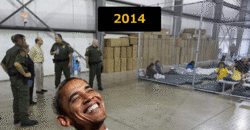 obama cages.gif