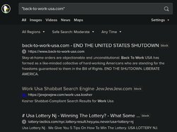 back to work usa jew jew jew.jpg