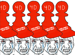 1582488208680.png