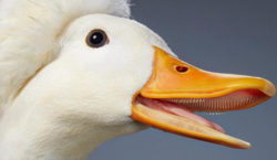 1593395713109.png