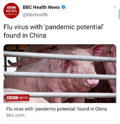 bbc.jpg