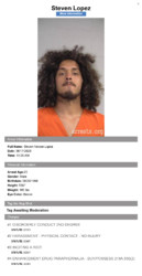 Screenshot_2020-06-30 Kentucky Jail Arrest Records Search.png