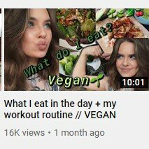 ydhb vegan.jpg