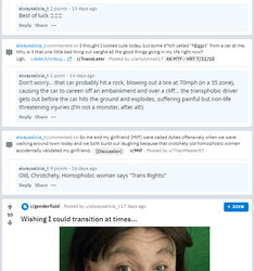 TERF_car_accident.jpg