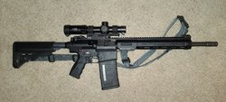 20200706_041234.jpg