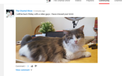 1594123326915.png