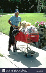 homeless-man-age-45-pushing-cart-of-aluminum-cans-with-dog-minneapolis-A8EAEB.jpg