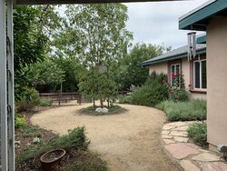 cuntbags-undeserved-house-2.jpg