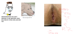 anus_go_brrrrrrr.png