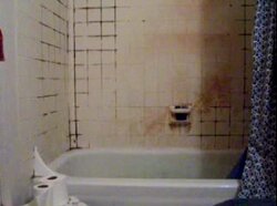 Plusoneshoweroffilth.jpg