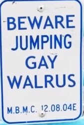 walrus.jpg