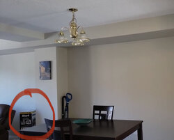 DB122EC3-0686-497B-B0AD-5CEBD95B785E.jpeg