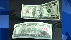 14245106_G[1].jpg