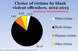 black on black crime graph.png