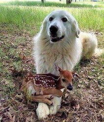 FB_IMG_1594577097092.jpg