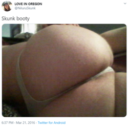 1594669102210.png