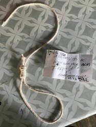 mlive fake noose 02.JPG