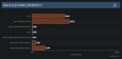 saginaw demographics.jpg
