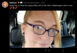 7_14_2020_roadtrip.png